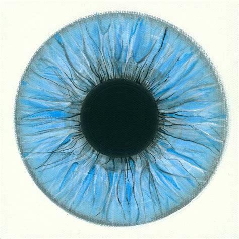 Blue eye iris Painting by Sanja Krug | Saatchi Art