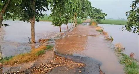 Haryana Villagers Grapple With Online Applications To Access Flood