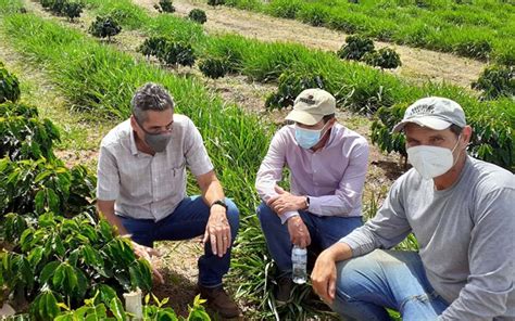 Agricultura Regenerativa Traz Vantagens Para O Meio Ambiente Rural Centro