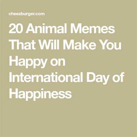 20 Animal Memes That Will Make You Happy On International Day Of