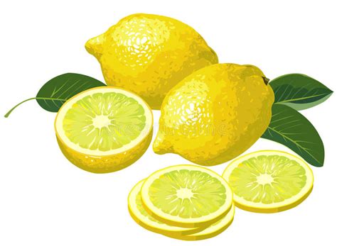 Limones con las rebanadas ilustración del vector Ilustración de