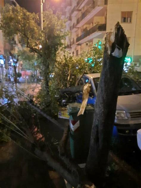 Raffiche Di Vento E Pioggia Si Spezza Un Grosso Albero In Via Memoli