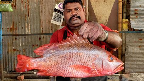 Kasimedu Speed Selvam Red Snapper Fish Cutting Video K Video