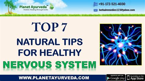 Top 7 Natural Tips For Healthy Nervous System Strengthen Your Nervous System Youtube