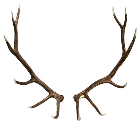 Free Transparent Transparent Background Reindeer Antlers Png Reindeer