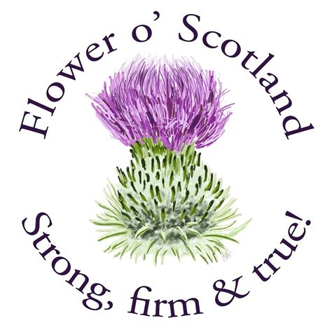 Flower Of Scotland Strong Firm And True Digital Art by David Brodie