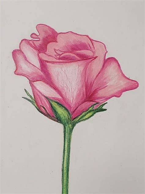 Pin de Ssil Esparza en FLORES Diseños de arte bordados a mano Dibujo