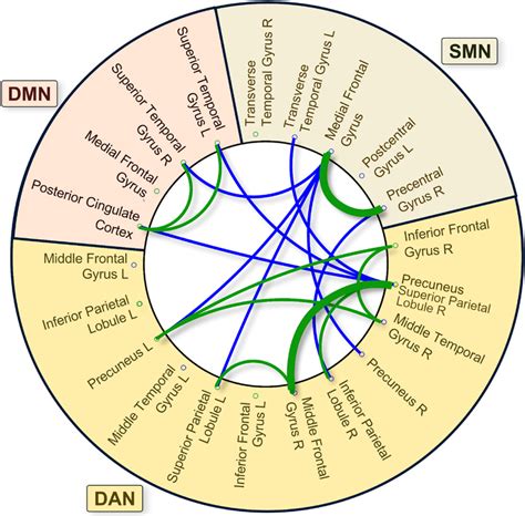 Of Decreased Connectivity Within And Between Rsn In The Asd Group