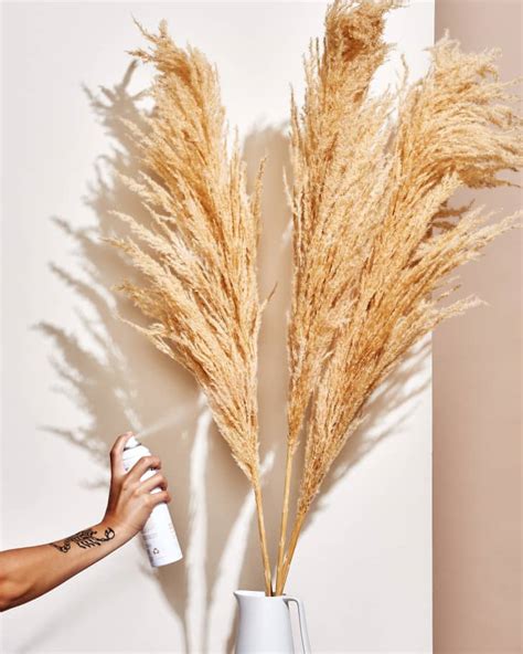 Decorating With Pampas Grass Pampas Grass Decor Trend Apartment Therapy