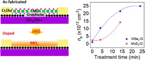 Analysis Of P Type Doping In Graphene Induced By Monolayer Oxidized