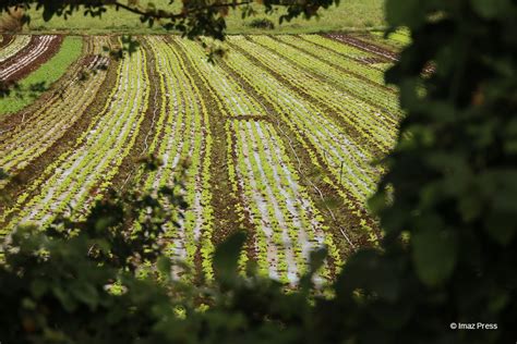 Agriculture Une Aide De L Etat Pour Compenser La Hausse Des Prix Des