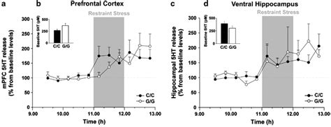 Basal And Stress Induced Extracellular Ht Concentrations In The