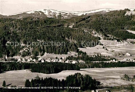 Ak Ansichtskarte Hinterzarten Panorama Blick Von Oberzarten Feldberg