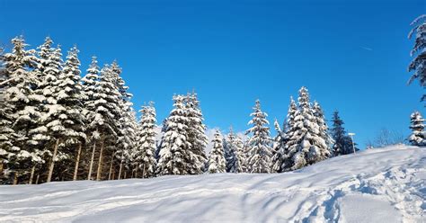 Winterwonderland in Maria Alm am Steinernen Meer Schöne Heimat