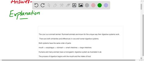 SOLVED 1 Digestion Is The Hydrolysis Of Large Food Molecules Such As