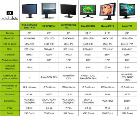 Cu L Es El Mejor Monitor Que Puedes Elegir Si Eres Fot Grafo Iii