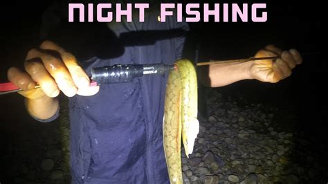 Underwater spear fishing night spear fishing रत म पन मन