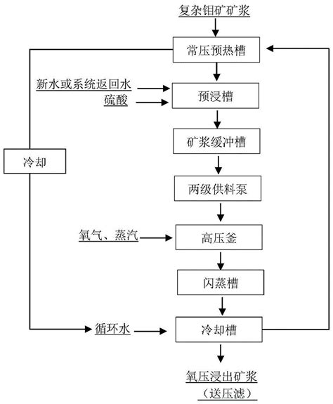 一种复杂钼矿直接氧压浸出的生产线的制作方法