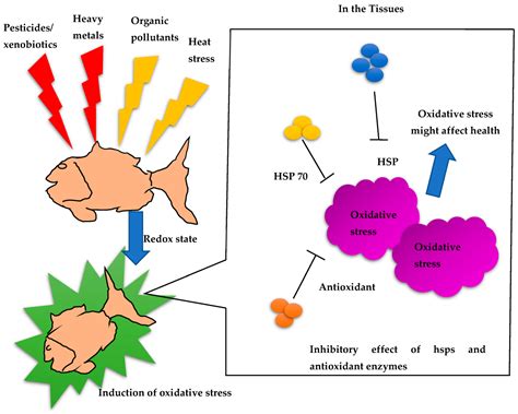 Antioxidants Free Full Text A Review On The Involvement Of Heat