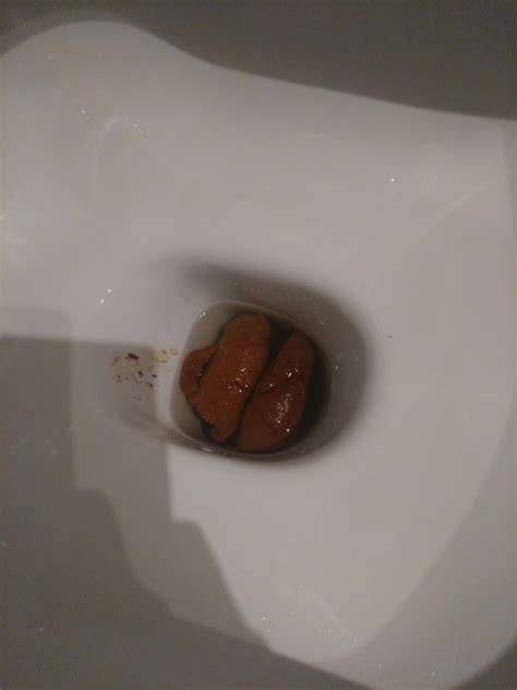 Follandome El Dildo Con Mierda Y Corrida ThisVid