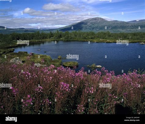 Abisko Nasjonalpark Fotos Und Bildmaterial In Hoher Aufl Sung Alamy