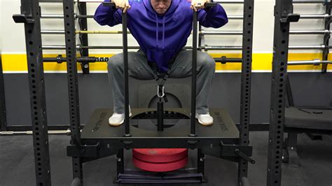 Titan Belt Squat Tranetbiologiaufrjbr