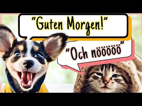 Ein tierischer Muntermacher Morgengruß für dich zum Teilen YouTube