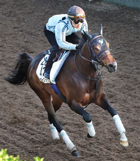 【マーメイドs】ミッキーゴージャスは2枠4番 永島まなみ騎手のアリスヴェリテは7枠13番 Umatoku 馬トク