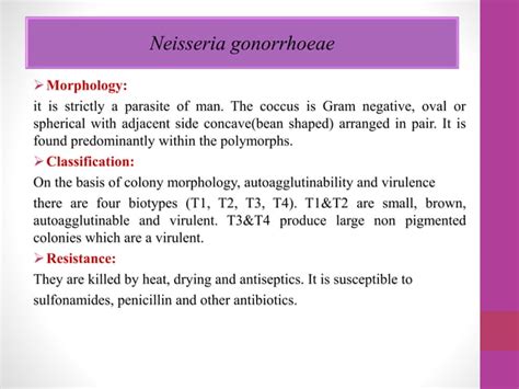 Lecture Corynebacterium Diphtheria Ppt