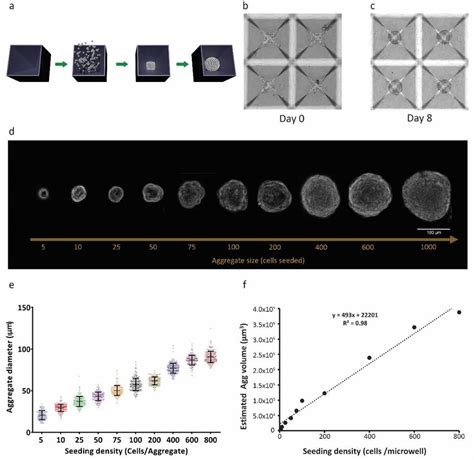 Three Dimensional Rpe Ts Show Consistent Size Control A Arpe