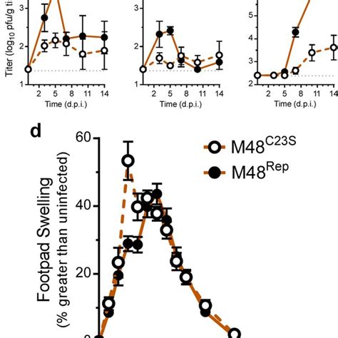 MCMV DUB Activity Modestly Contributes To Replication In Cell Culture