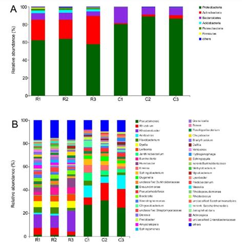 Distribution Of Endophytic Bacteria At The Phylum A And Genus B