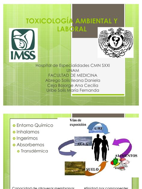 Pdf Toxicolog A Ambiental Y Laboral Dokumen Tips