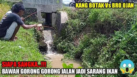 Mancing Di Bawah Gorong Gorong Pinggir Jalan Pas Banget Di Sarangnya