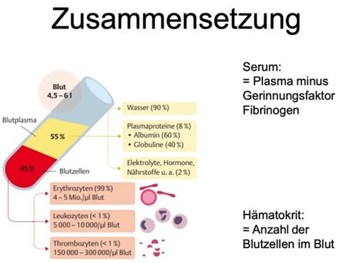 Blut Und Gerinnungssystem Karteikarten Quizlet