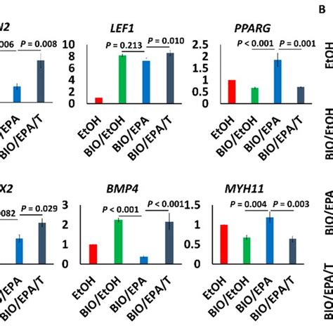 Effects Of Epa On β Catenin Signaling Stimulated By Gsk 3 Inhibitor Download Scientific