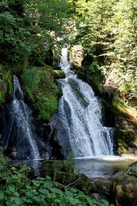 Partie Des Chutes Du Triberg Les Plus Hautes Chutes D Allemagne Image