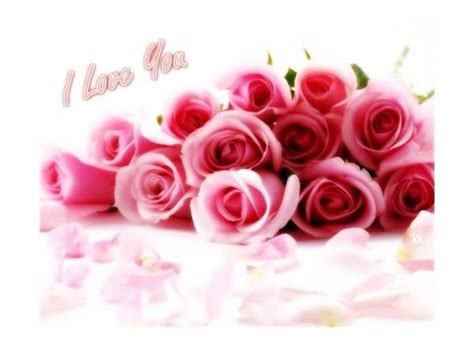 I Love You Pink Roses – JattDiSite.com