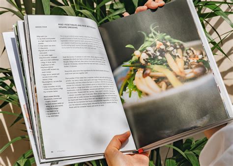 Ottolenghi: Plenty More | Books | Burford Garden Co.