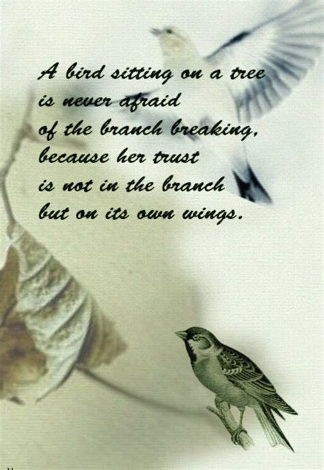 Pin By Tina Horn On A Little Bird Told Me Birds Bird Theme