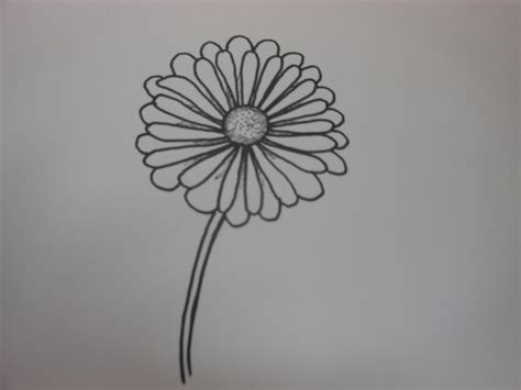 How To Draw A Daisy Flower Easy Step By Step For Beginners Rock Draw