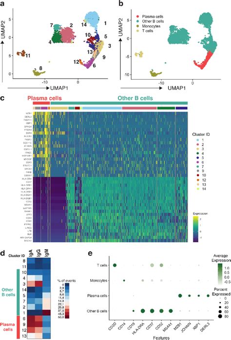 Single Cell Rna Sequencing Of Bone Marrow B Cells Single Cell Download Scientific Diagram