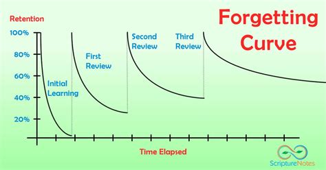 The Forgetting Curve in Scripture Study « Scripture Notes