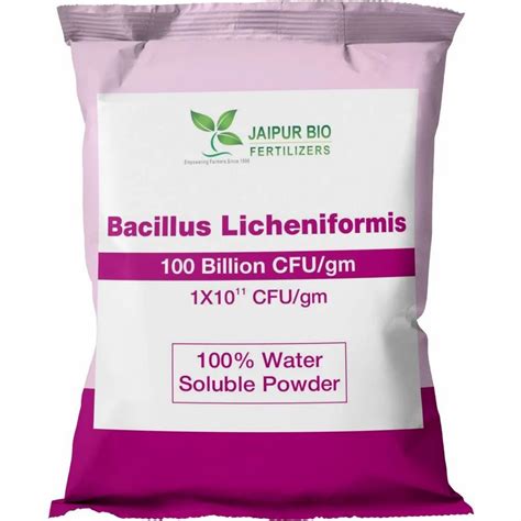 Bacillus Licheniformis 100 Billion, Packaging Size: 1 Kg Pouch at best ...