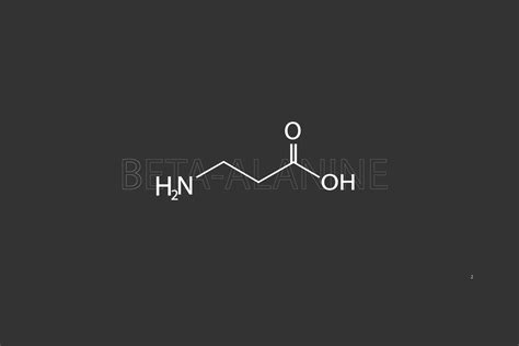 Beta Alanina Molecular Esquelético Químico Fórmula 36388710 Vector En Vecteezy