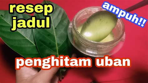 Nyesel Baru Tahu Daun Ajaib Dan Ampuh Menghitamkan Uban Selamanya