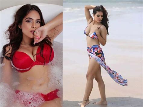 10 Hot Sexy Nidhi Jha Bikini Pics