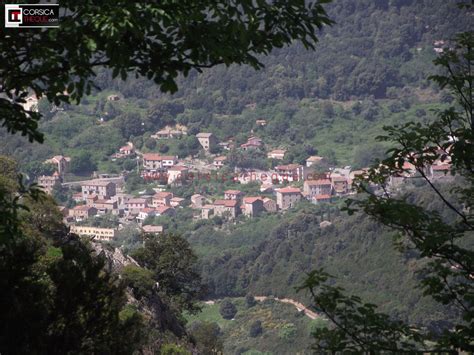 Vall E Du Prunelli Au Printemps La Corse De L Int Rieur Territoires