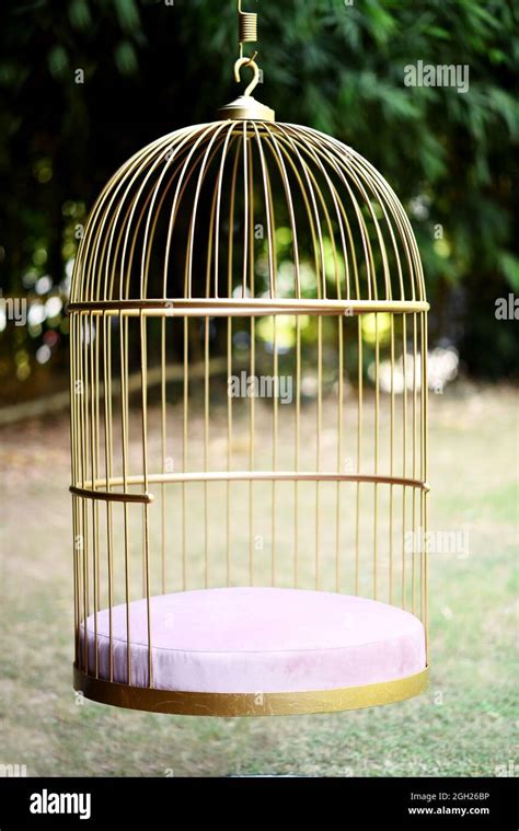 Birdcage shaped swinging chair, hanging chair, cage design, with outdoor background Stock Photo ...