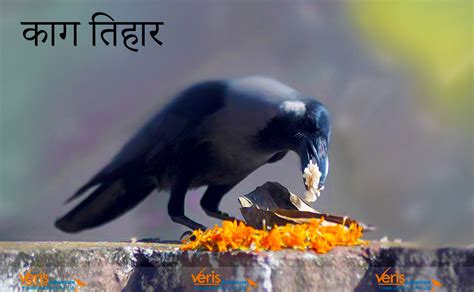 crow-tihar-nov-2 - Veris Adventure Travels and Tours